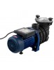 Pompe de Piscine Pompe de Filtration Circulation Hors Sol 18000LH 750W