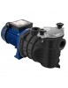 Pompe de Piscine Pompe de Filtration Circulation Hors Sol 18000LH 750W