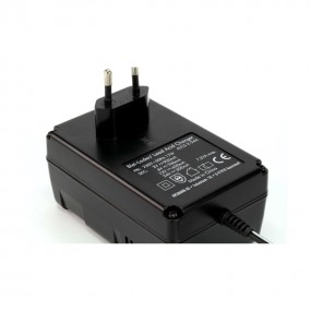 Chargeur automatique ALCS 2-24A (sans pinces)