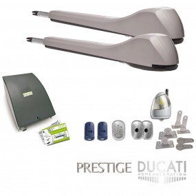 Kit Motorisation Portail Ducati Home Automation EVE 948T