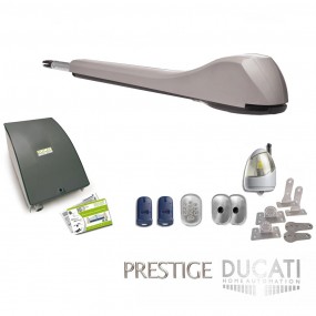 Kit Motorisation Portail Automatisme Ducati Home Automation EVE 948T Mono