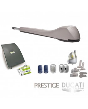 Kit Motorisation Portail Automatisme Ducati Home Automation EVE 948T Mono