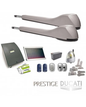 Kit Motorisation Portail Solaire Ducati Home Automation EVE 948T SOLAR