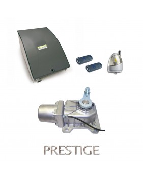 Kit Motorisation Portail Automatisme Ducati Home Automation GEO 548 MONO