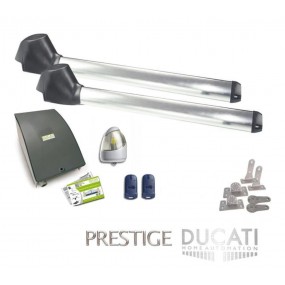 Kit Motorisation Portail Ducati Home Automation EVO 742 BASIC