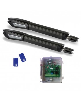 Kit Motorisation Portail Battant Automatisme EA BJ424 24 V